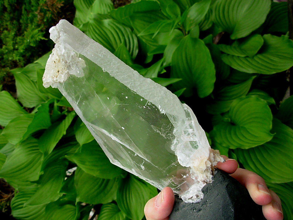 Selenite Chard on Cathedral Base from Brazil