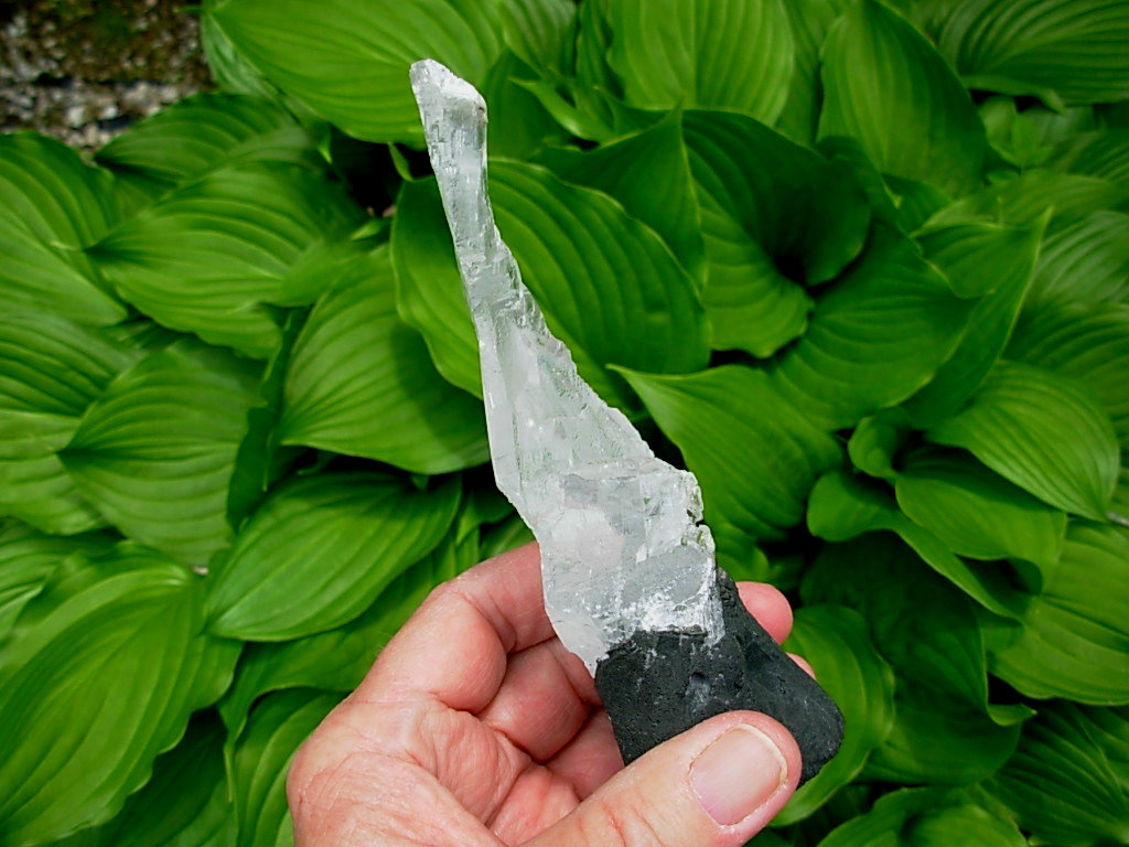 Selenite Chard on Cathedral Base from Brazil