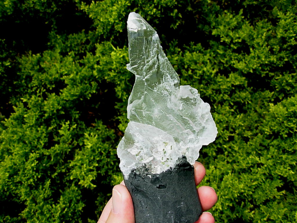 Selenite Chard on Cathedral Base from Brazil