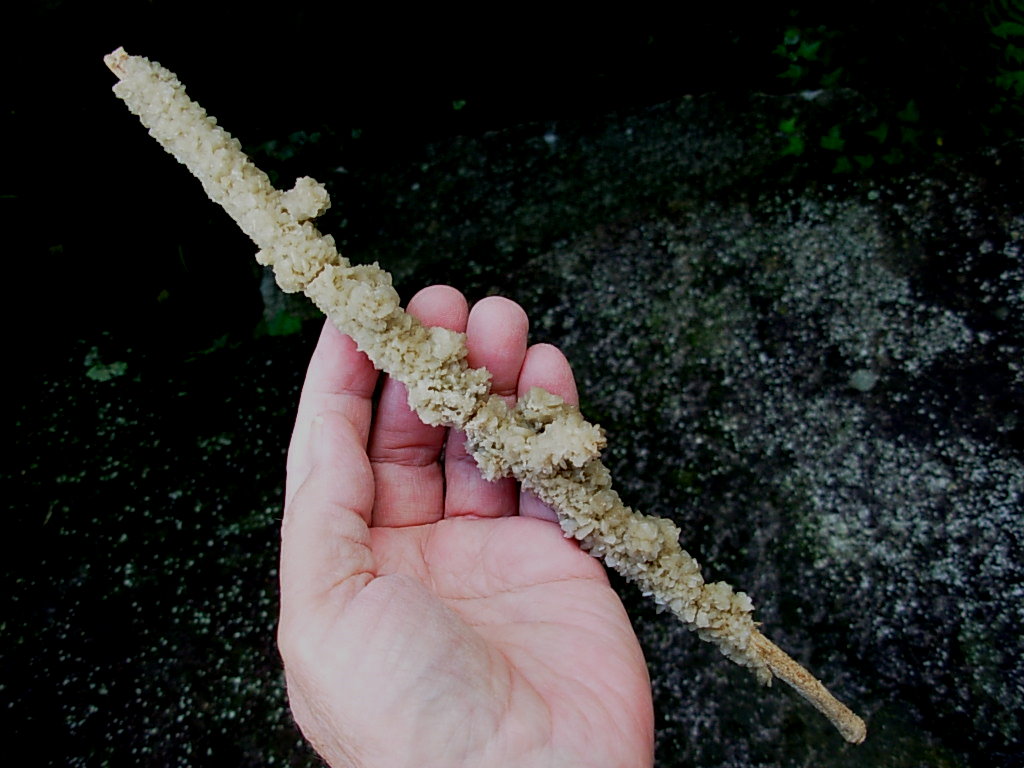 Gypsum