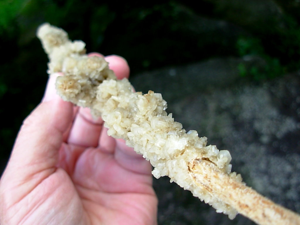 Gypsum