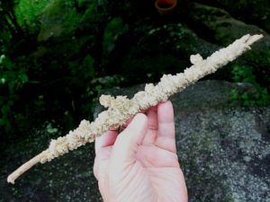 Gypsum