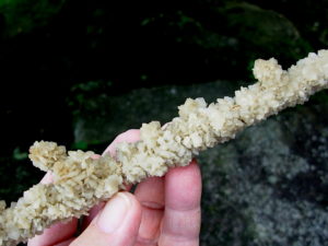 Gypsum