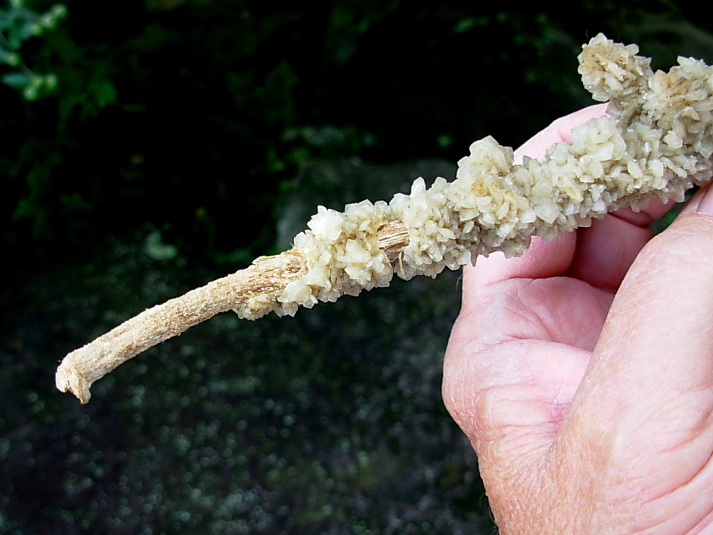 Gypsum