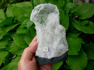 Selenite Chard on Cathedral Base from Brazil