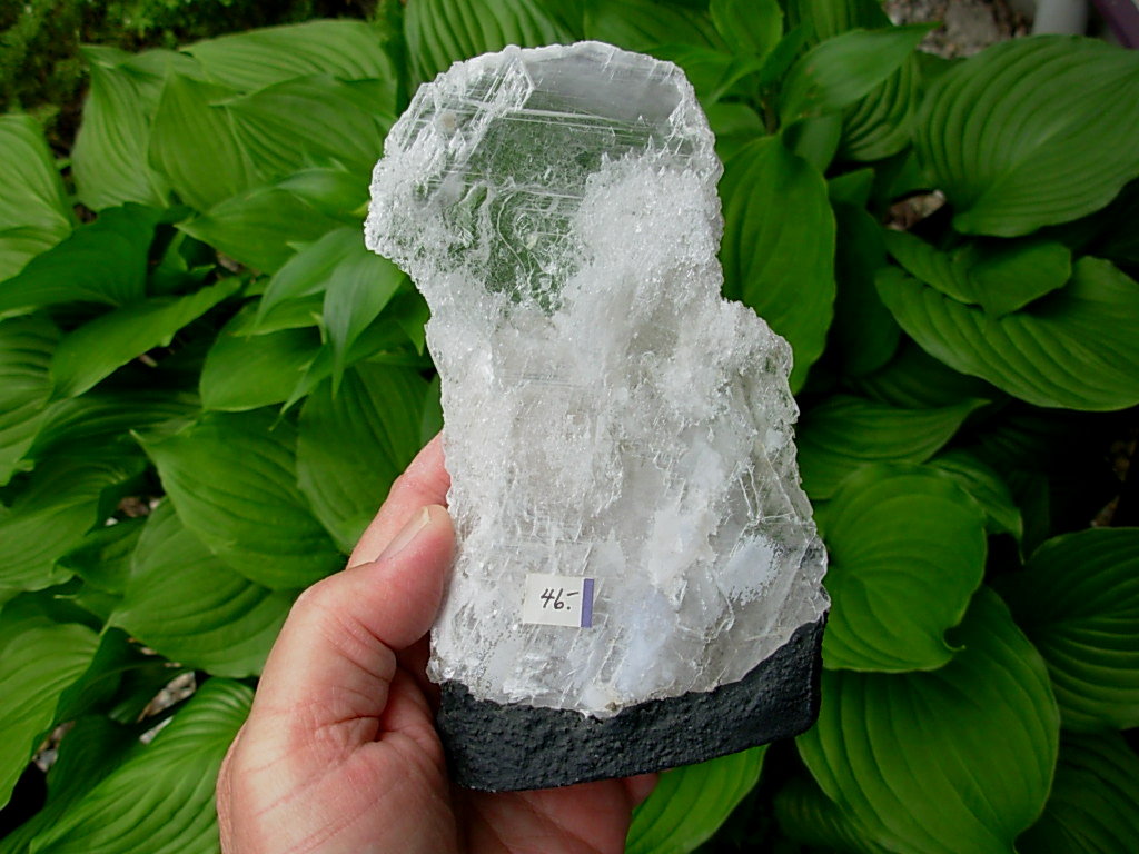 Selenite Chard on Cathedral Base from Brazil
