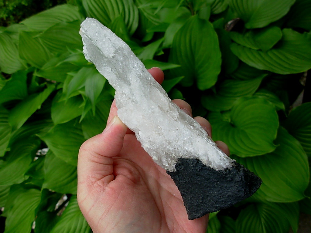 Selenite Chard on Cathedral Base from Brazil