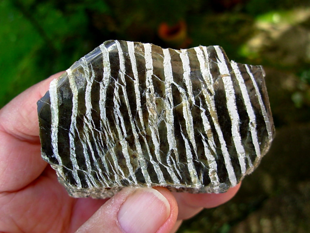 Serpentine var. Ribbonstone from Australia