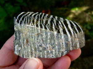 Serpentine var. Ribbonstone from Australia