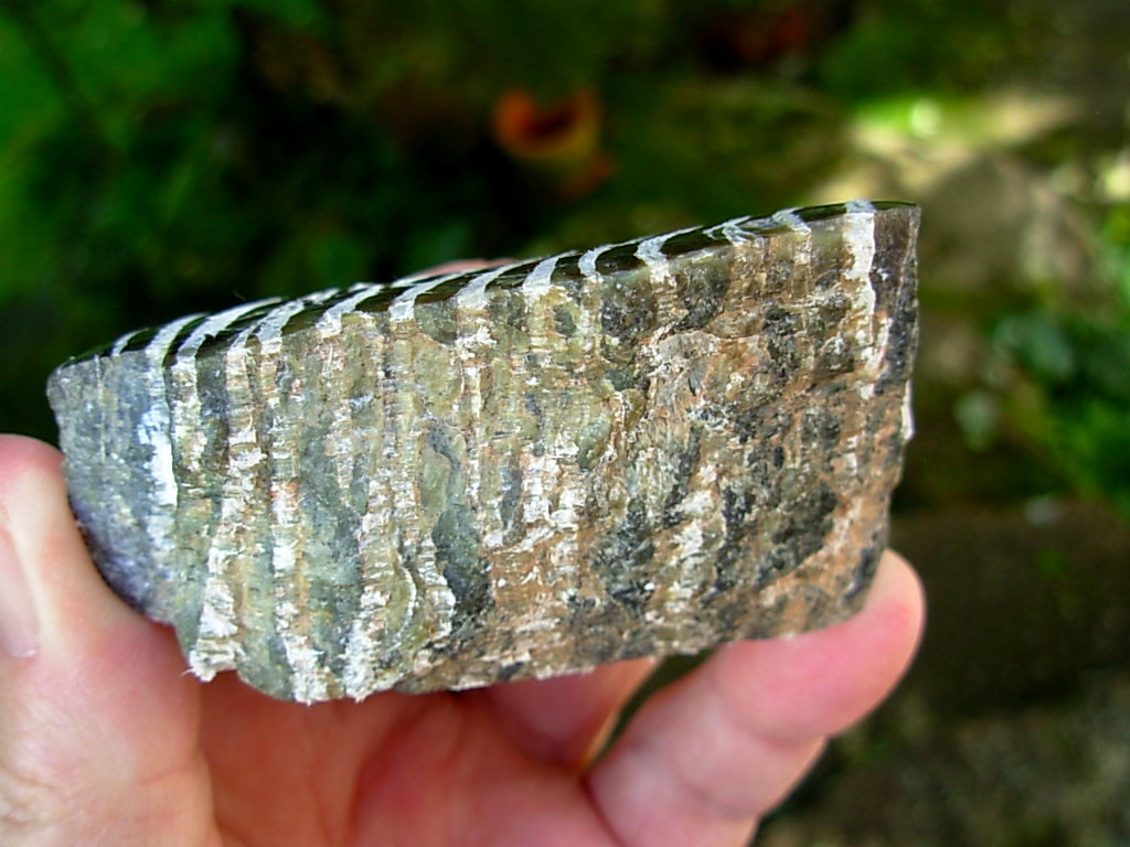 Serpentine var. Ribbonstone from Australia