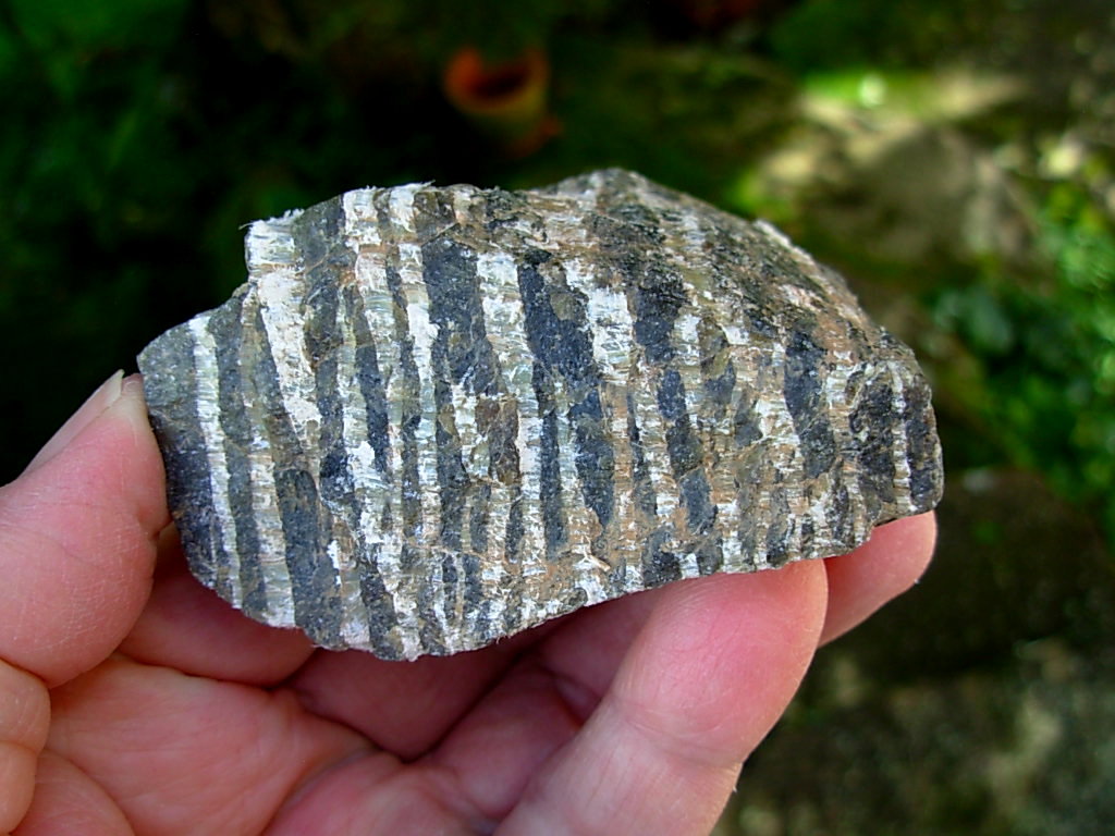 Serpentine var. Ribbonstone from Australia