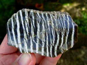 Serpentine var. Ribbonstone from Australia