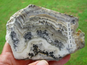 Lapidary Slabs and Rough Stock