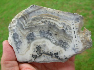Lapidary Slabs and Rough Stock