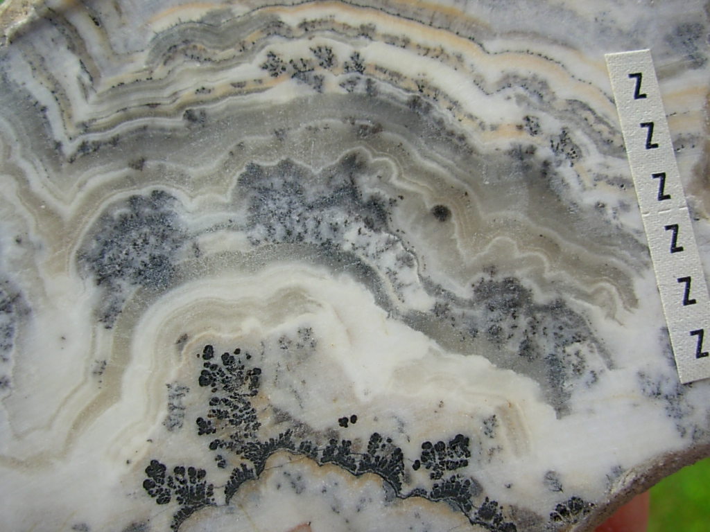 Lapidary Slabs and Rough Stock