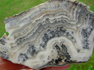 Lapidary Slabs and Rough Stock