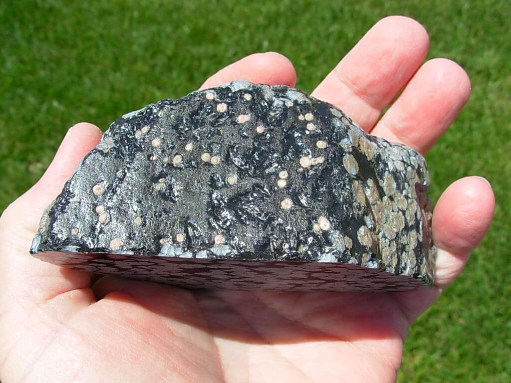 Polished Snowflake Obsidian