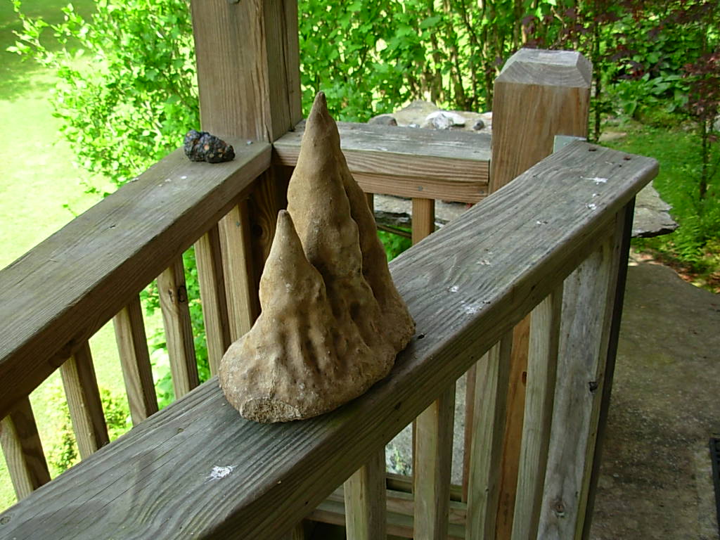 9 Inch Stalagmite Speleothem from the Ozarks