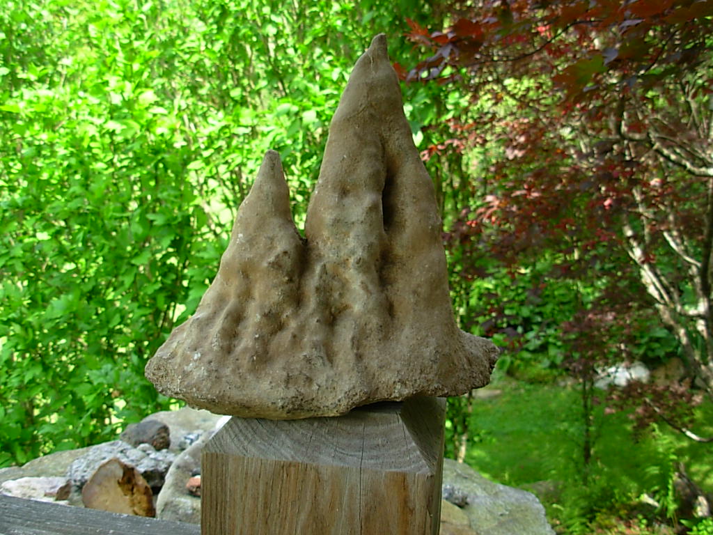 9 Inch Stalagmite Speleothem from the Ozarks