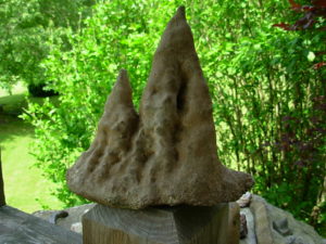 9 Inch Stalagmite Speleothem from the Ozarks