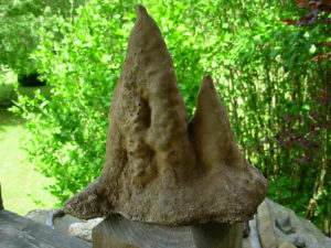 9 Inch Stalagmite Speleothem from the Ozarks