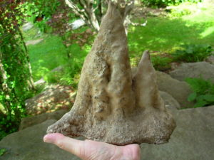 9 Inch Stalagmite Speleothem from the Ozarks