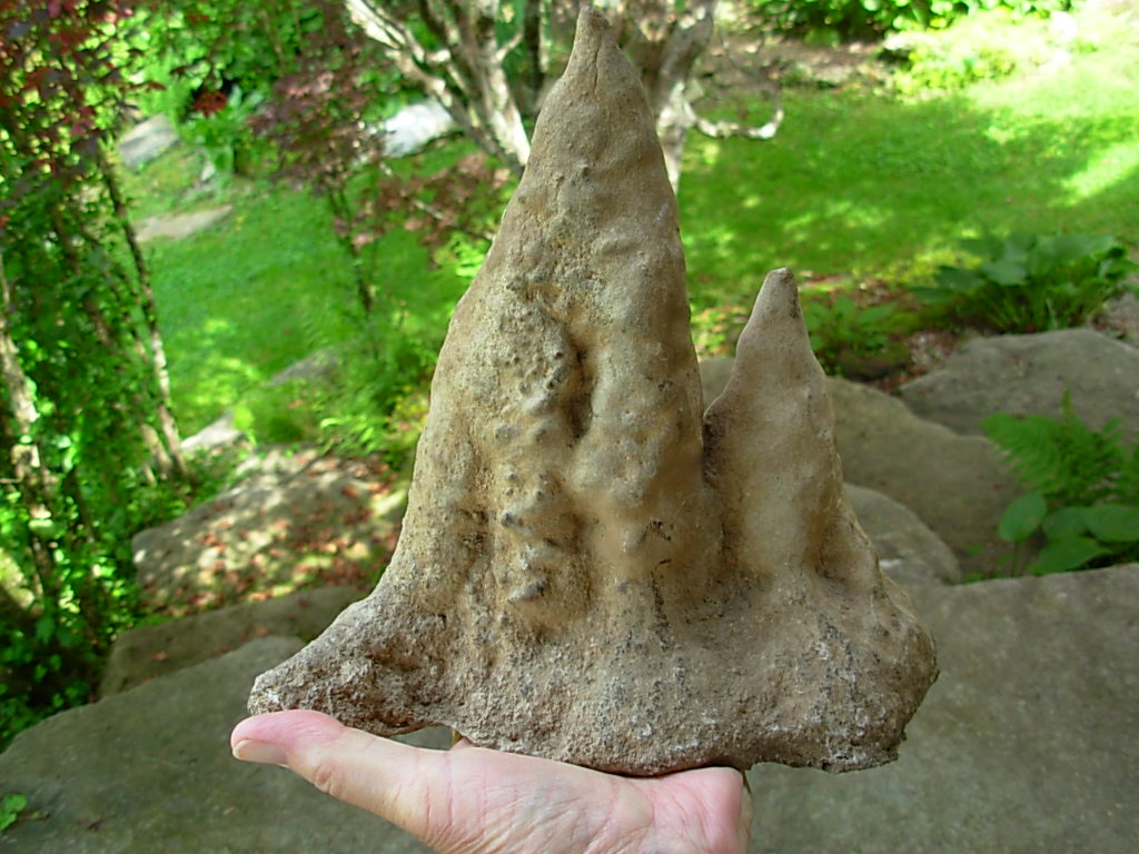 9 Inch Stalagmite Speleothem from the Ozarks