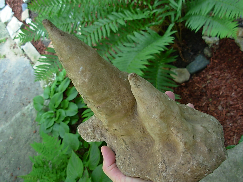 9 Inch Stalagmite Speleothem from the Ozarks