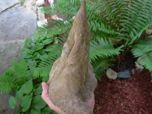 9 Inch Stalagmite Speleothem from the Ozarks