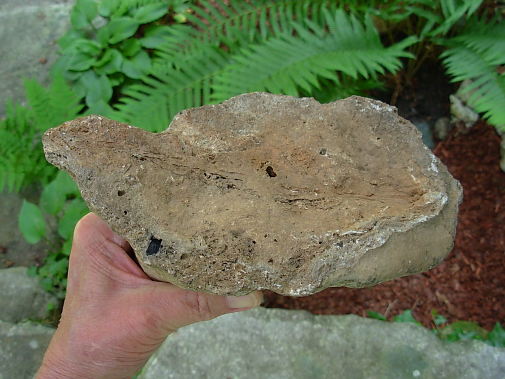 9 Inch Stalagmite Speleothem from the Ozarks