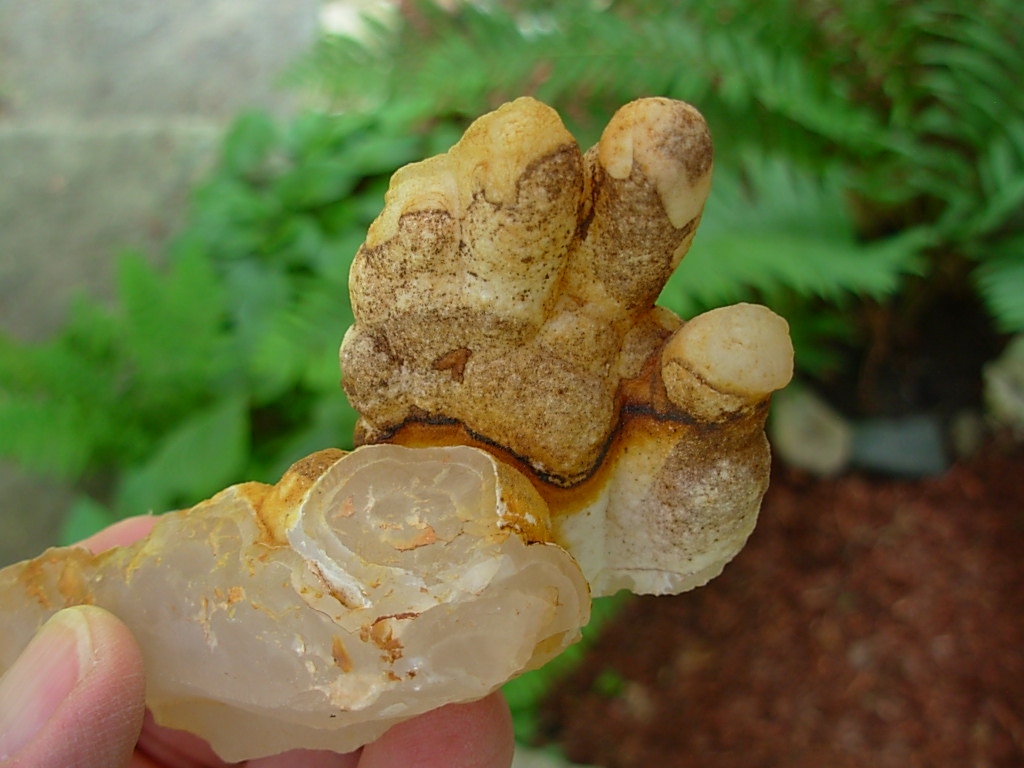 Hand Helectite from Missouri