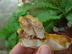 Hand Helectite from Missouri