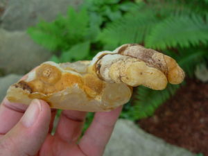 Hand Helectite from Missouri