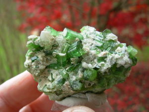 Cluster of Green Tourmaline Crystals on Quartz Matrix
