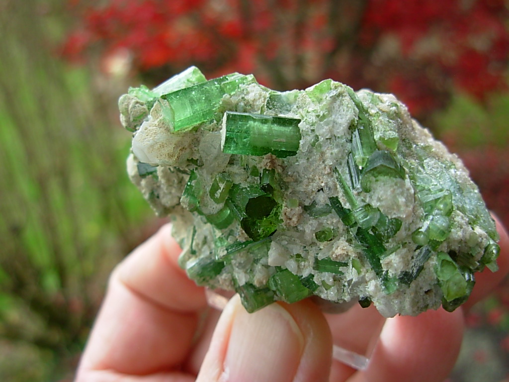 Cluster of Green Tourmaline Crystals on Quartz Matrix