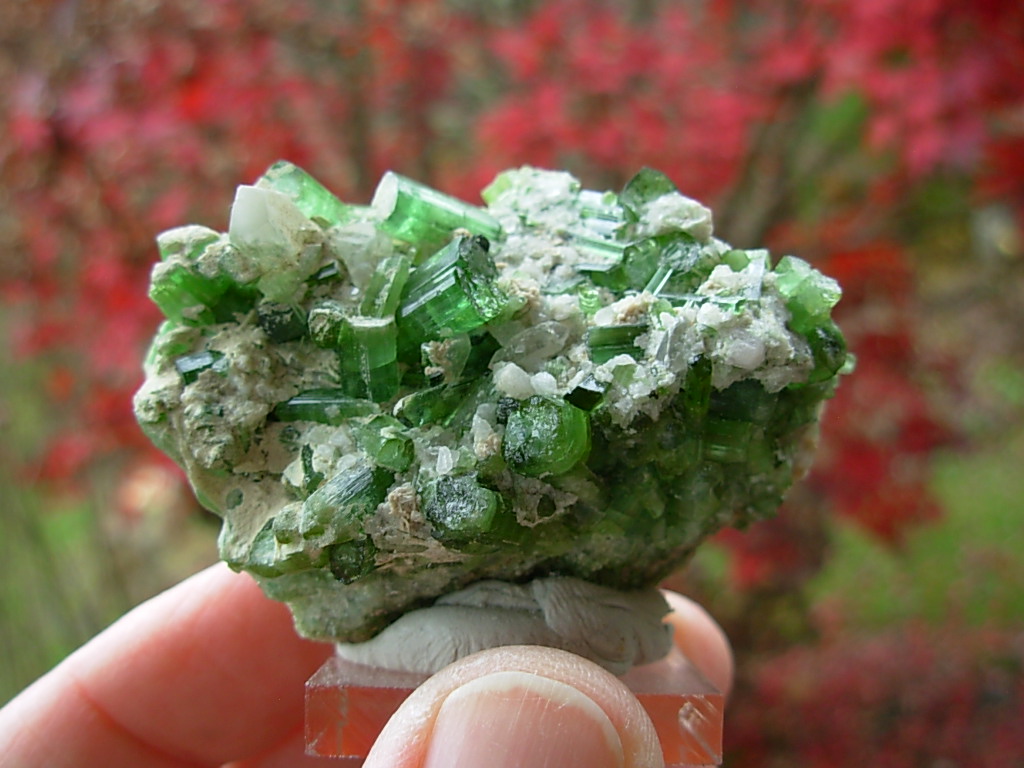 Cluster of Green Tourmaline Crystals on Quartz Matrix