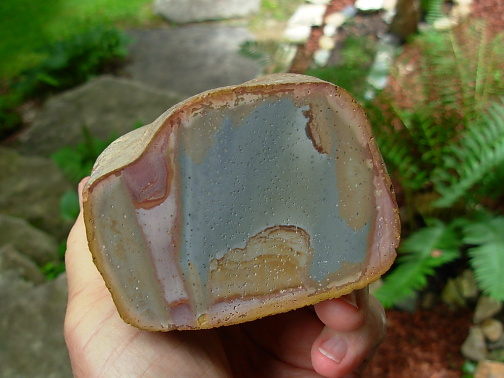 Wild Horse Canyon Jasper Rough from Oregon