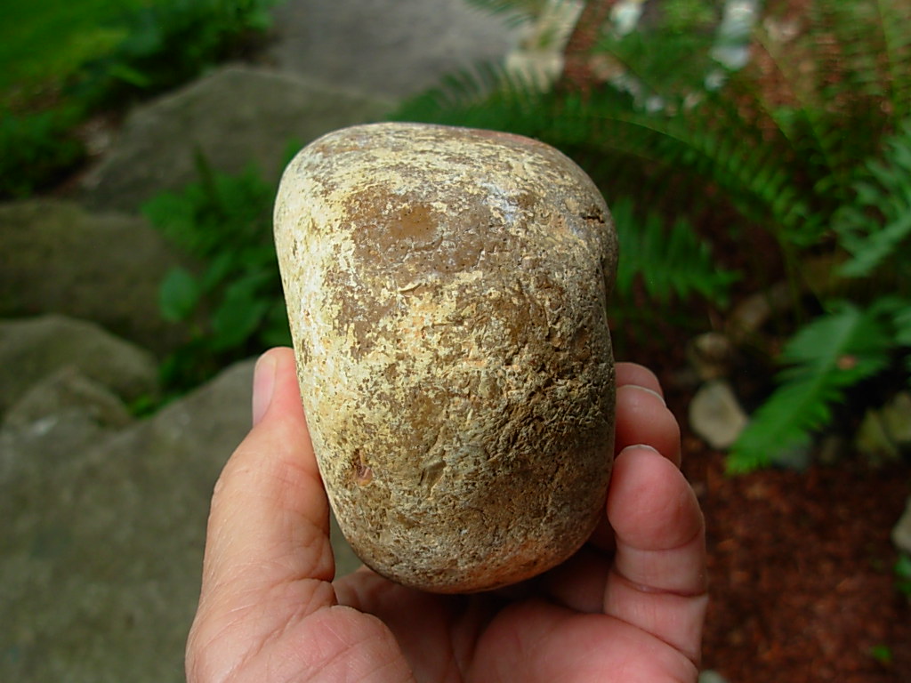 Wild Horse Canyon Jasper Rough from Oregon