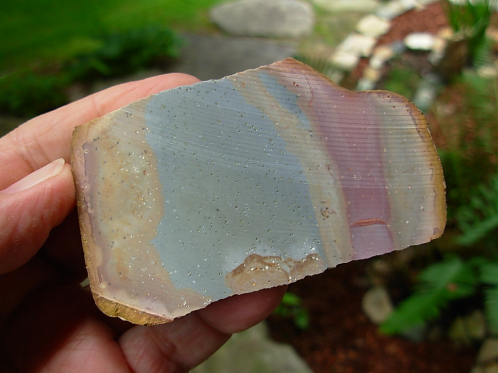 Wild Horse Canyon Jasper Rough from Oregon