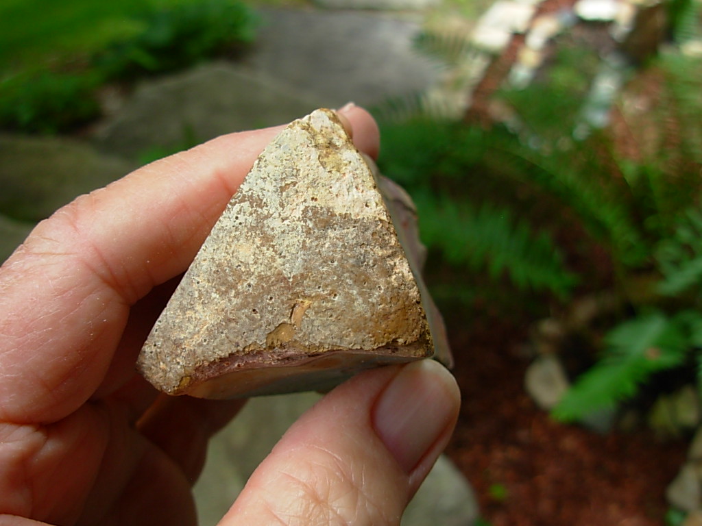 Wild Horse Canyon Jasper Rough from Oregon