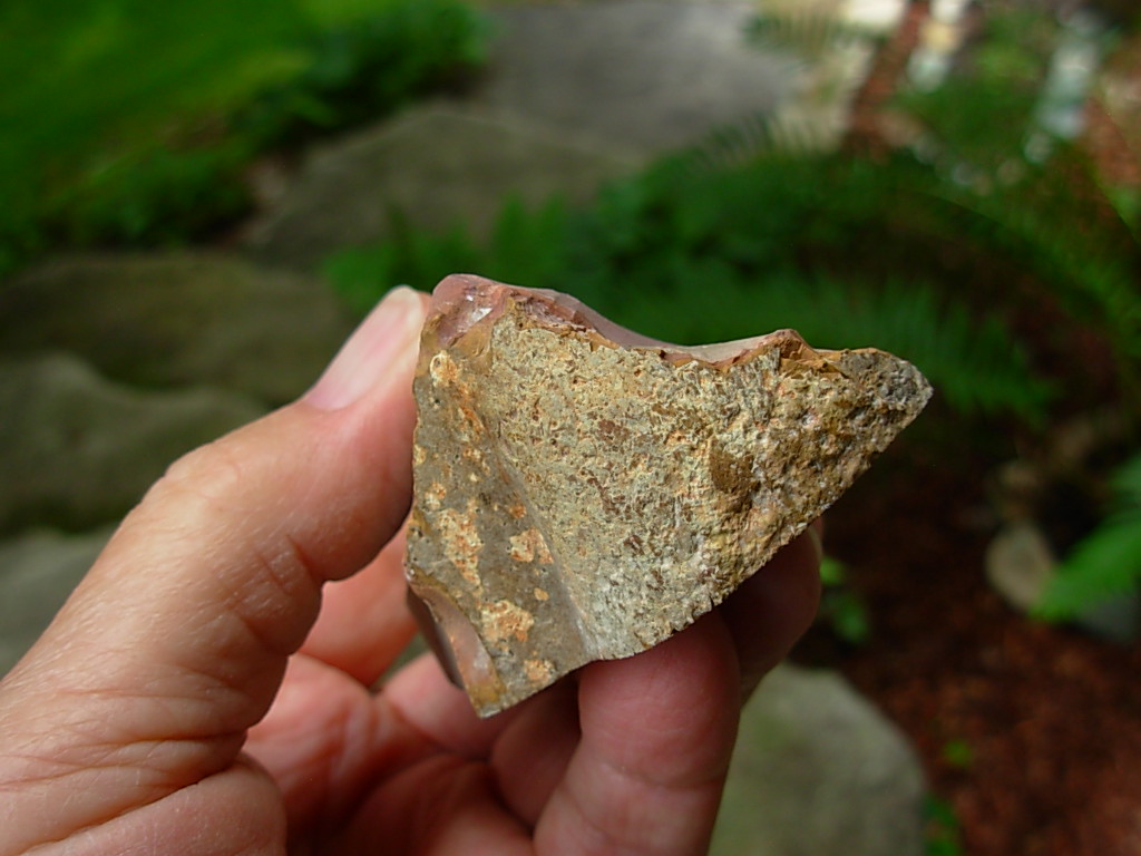 Wild Horse Canyon Jasper Rough from Oregon