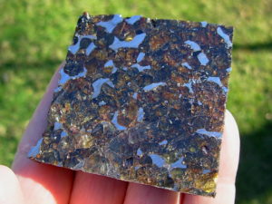65g Seymchan Pallasite Thick Slab Polished One Side