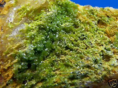 Old Stock Pyromorphite from the Wheatley Mine