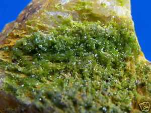 Old Stock Pyromorphite from the Wheatley Mine