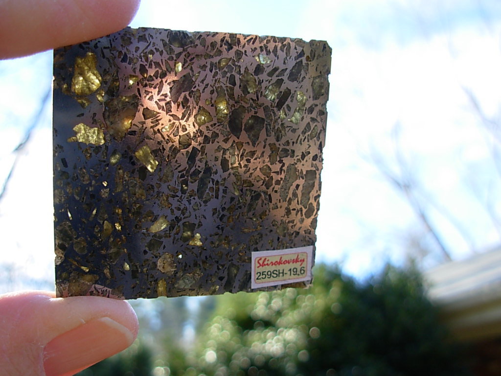 Shirokovsky Pallasite