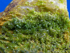 Old Stock Pyromorphite from the Wheatley Mine