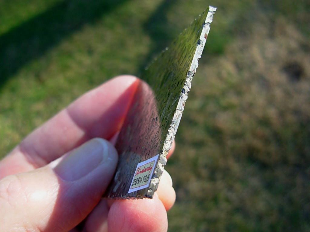 Shirokovsky Pallasite