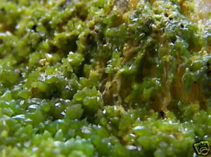 Old Stock Pyromorphite from the Wheatley Mine