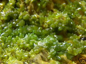 Old Stock Pyromorphite from the Wheatley Mine