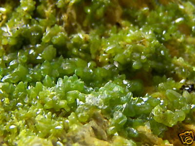 Old Stock Pyromorphite from the Wheatley Mine